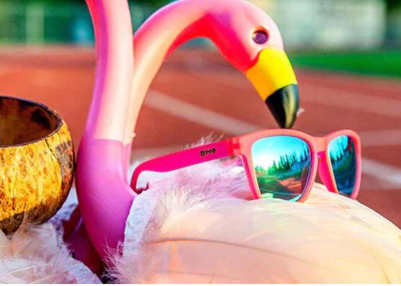 Goodr Flamingos on a booze cruise